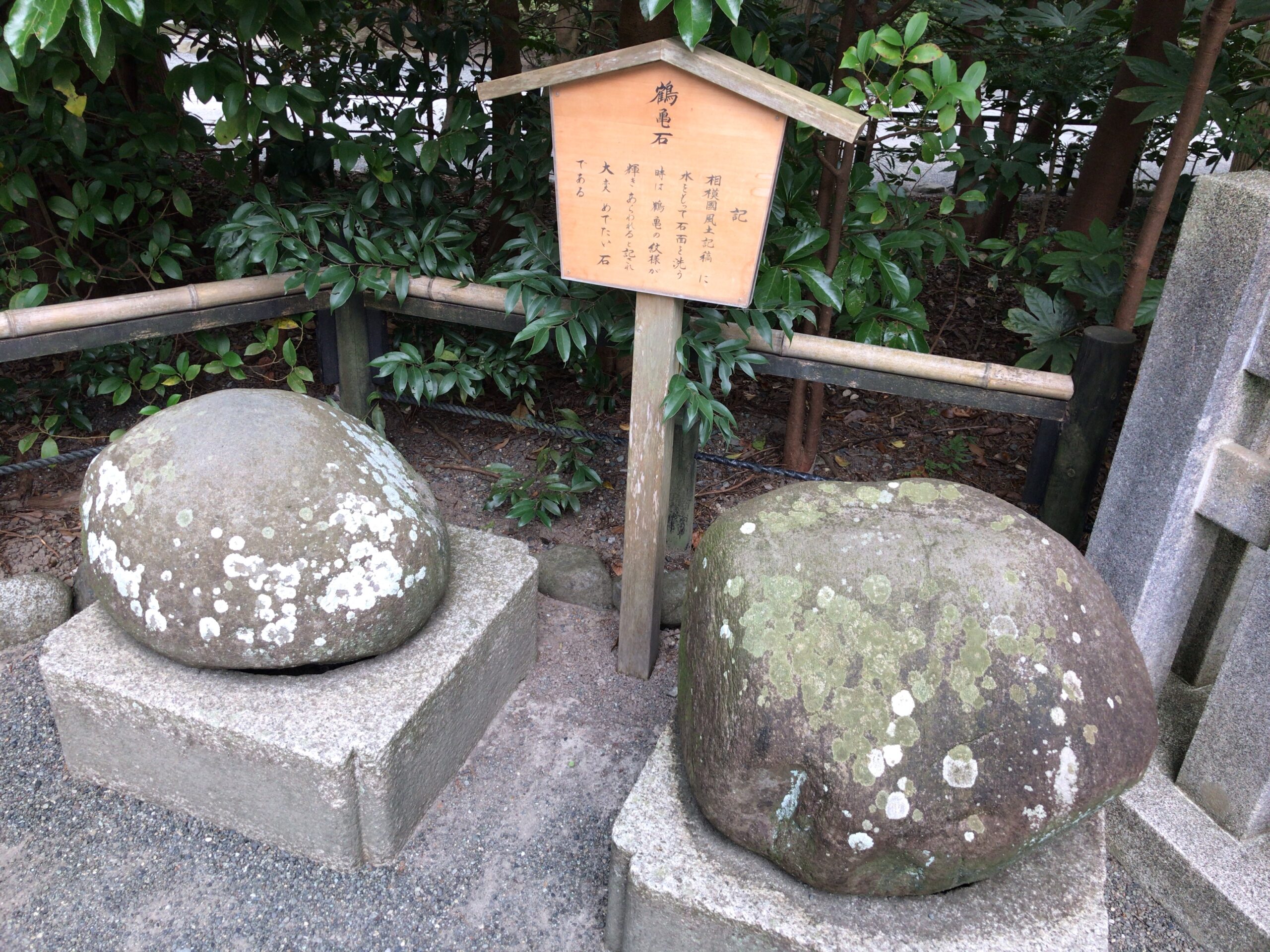 鎌倉デートの風景14