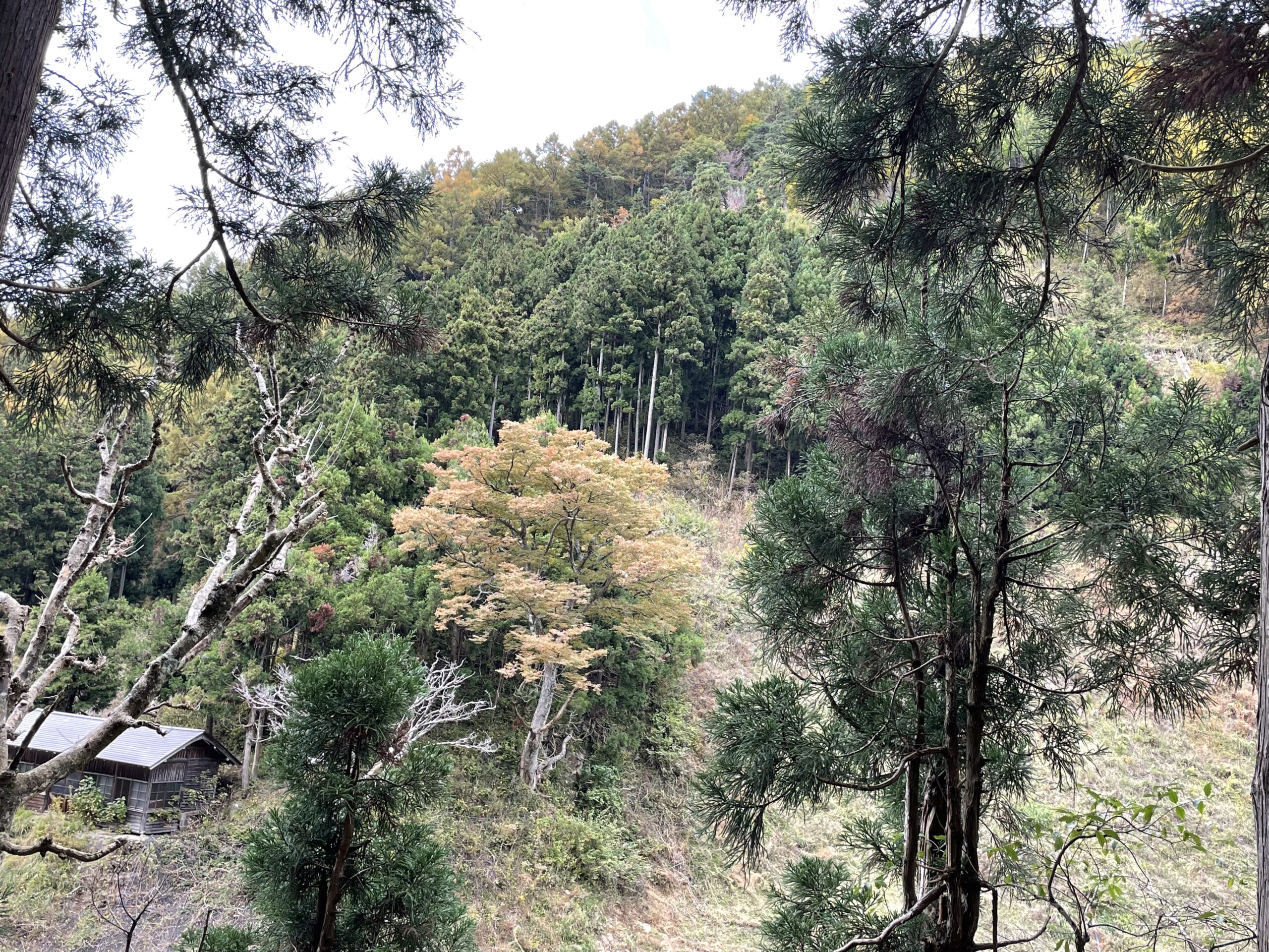 長野デートの風景11