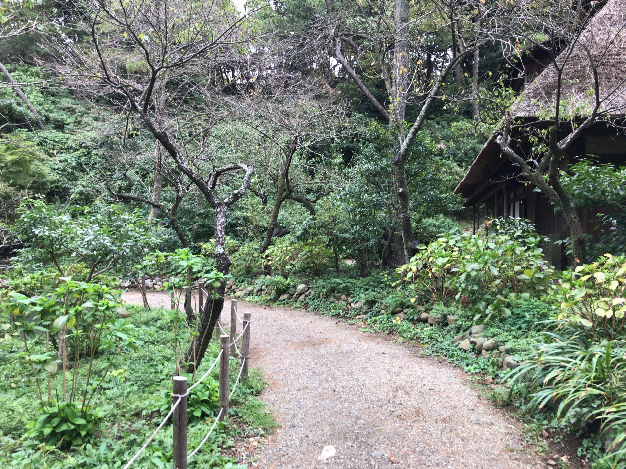 横浜デートの風景24